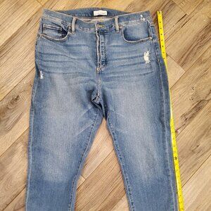 EUC Loft Jeans, Skinny fit, Size 32/14